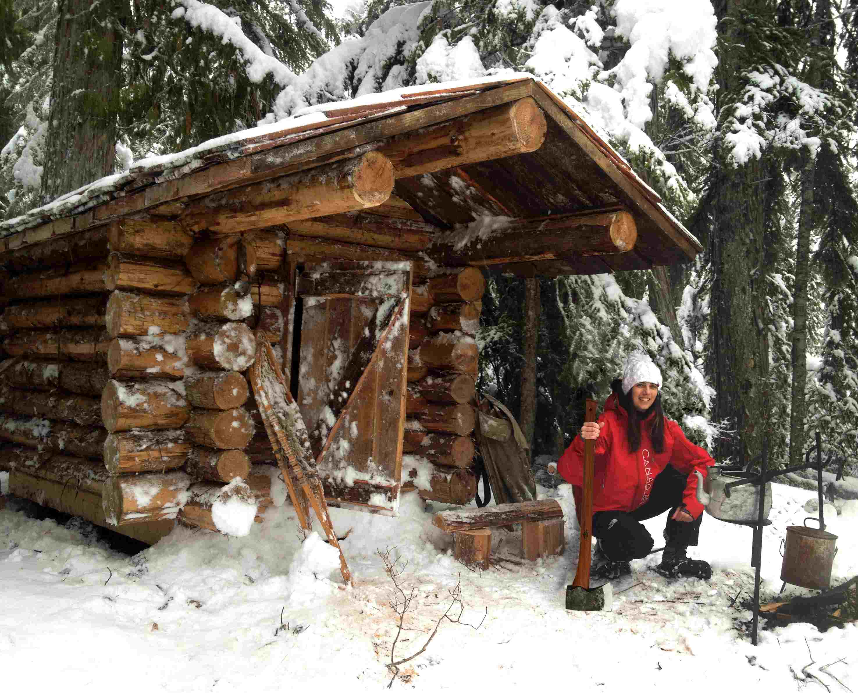 log-cabin